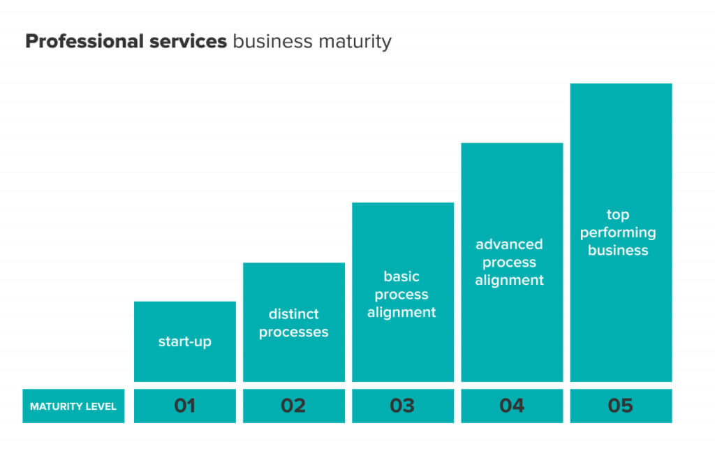 Levels of maturity for professional services businesses