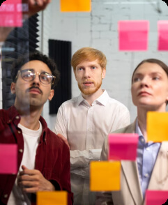Project team members